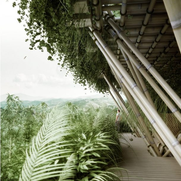 As opposed to most buildings, the treehouse's design allows plants to grow naturally on it. For every culm of bamboo taken for construction, the team would plant two more.