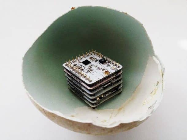 图片致谢:techtimes