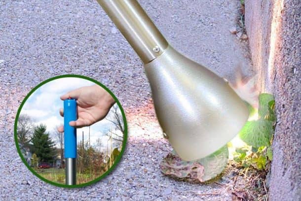 学分：全球邻居