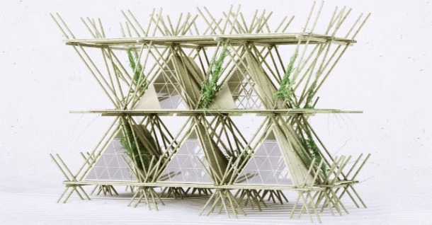 Local plants would also grow on the structure. Credits: Penda