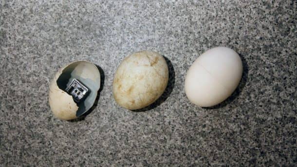 图片致谢:techtimes