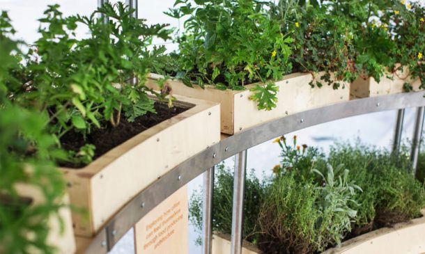 a-spherical-farm-pod-the-growroom-brings-agriculture-to-city-streets_image-12