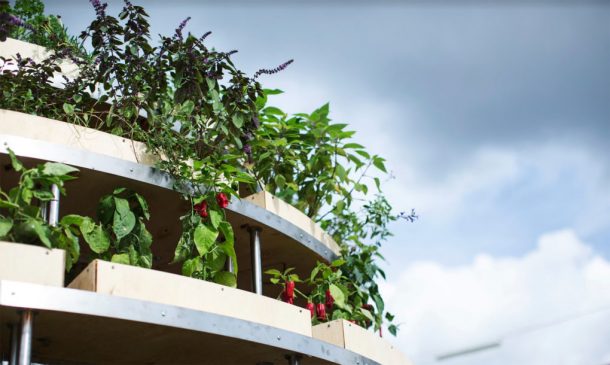 a-spherical-farm-pod-the-growroom-brings-agriculture-to-city-streets_image-8