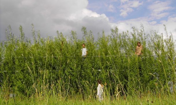 baubotanik -生活-建筑-yabo168vip com 14 - 1020 x610