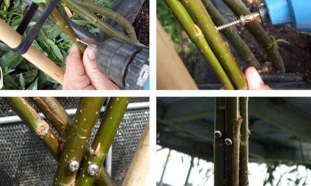 图片来源:inhabitat