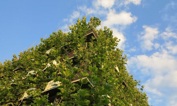 图片来源:inhabitat