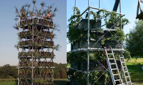 图片来源:inhabitat