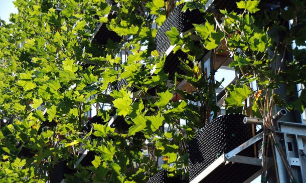 图片来源:inhabitat