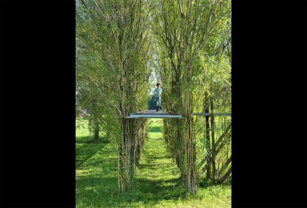 图片来源:inhabitat