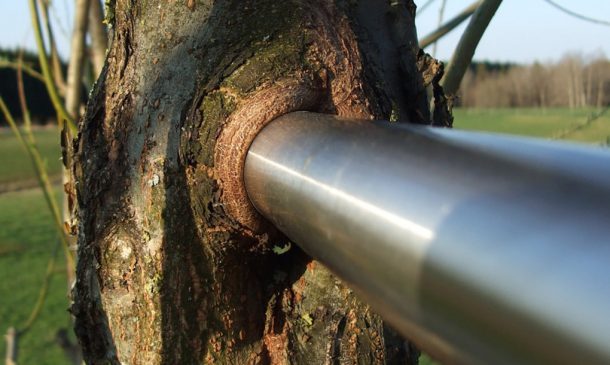 baubotanik -生活-建筑-yabo168vip com 7 - 1020 x610