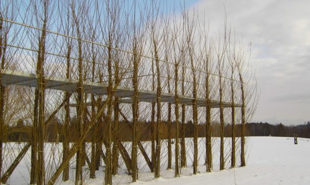 图片来源:inhabitat