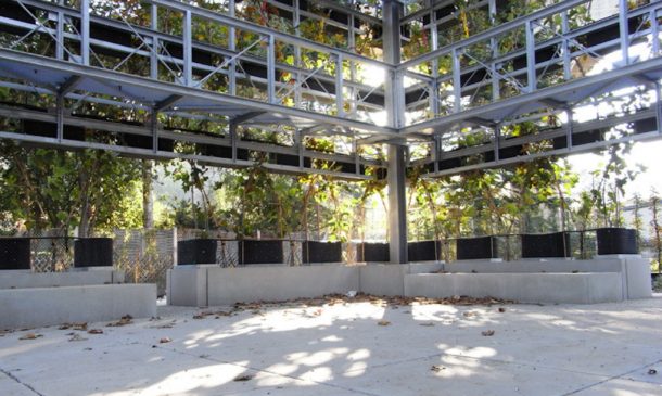 图片来源:inhabitat