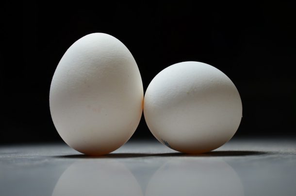 how-do-the-baby-birds-breathe-inside-the-egg_image-0