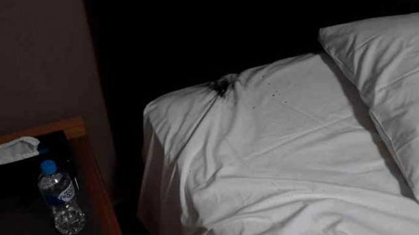 图片来源:reddit.com / crushader