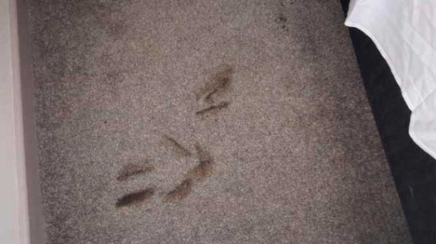 图片来源:reddit.com / crushader