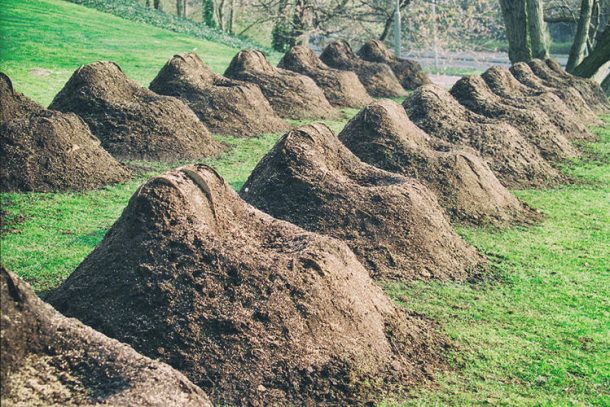 这个工具包可以让你在草坪上种一个草沙发