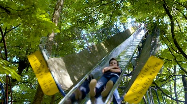 图片致谢:thisiscolossal