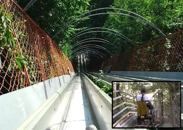 图片致谢:thisiscolossal