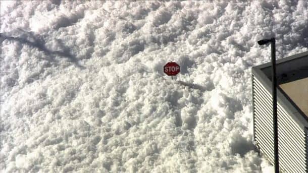 图片学分：高级人