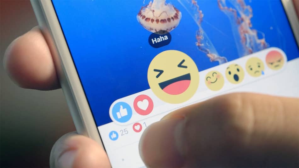 facebook的反应