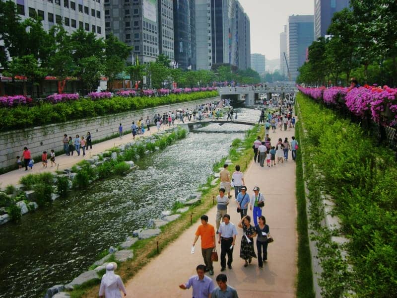 除高速公路项目