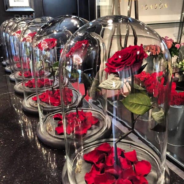 永远rose9 - 600 x600