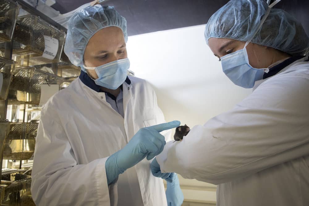 Peter-de-keijzer-and-Assistant-016-017