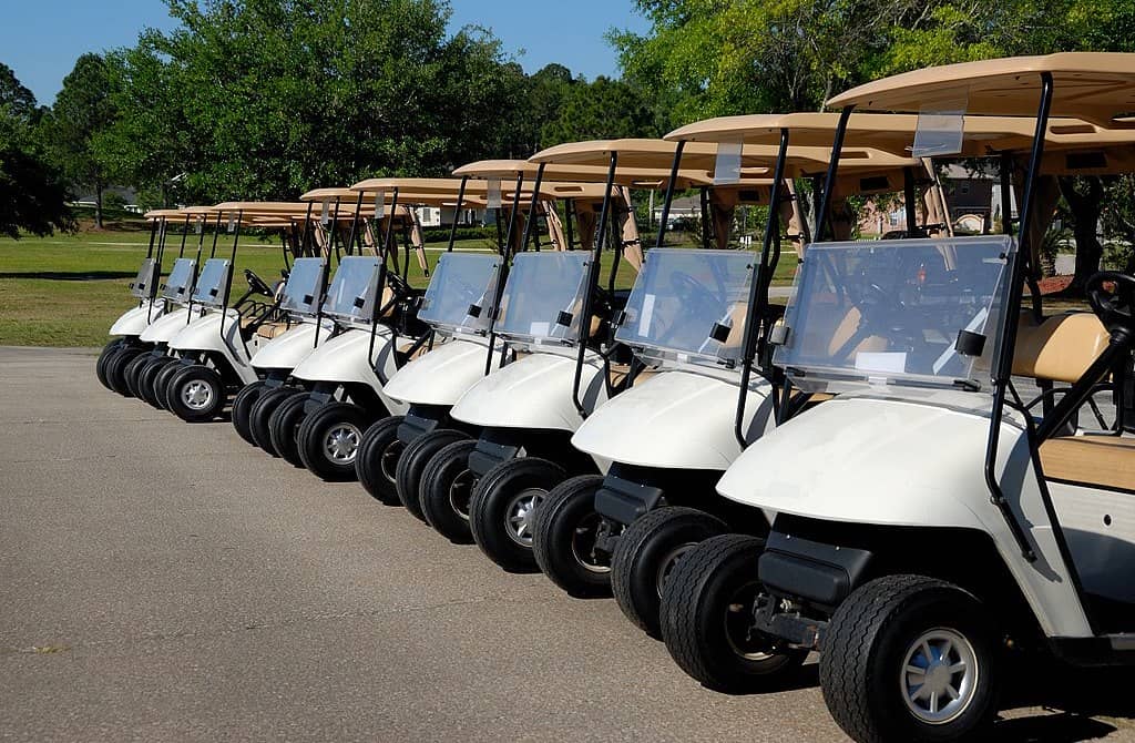 高尔夫球车愉景湾