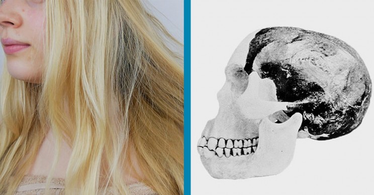 这些是七疯狂和著名的恶作剧!