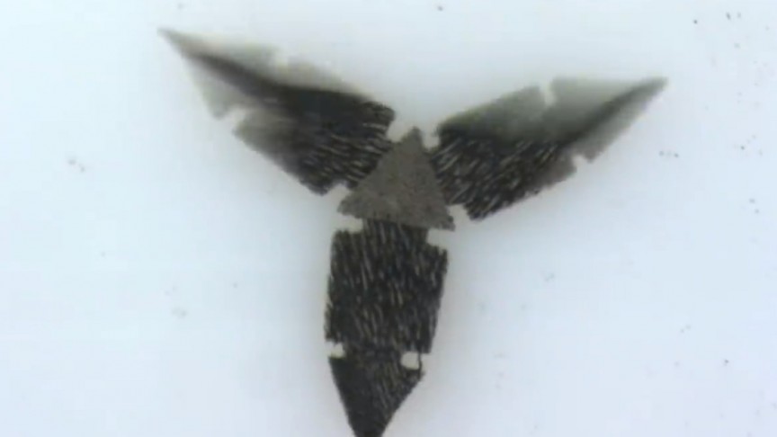 最新的微生物机器人-小机器人玩现实世界的俄罗斯方块!