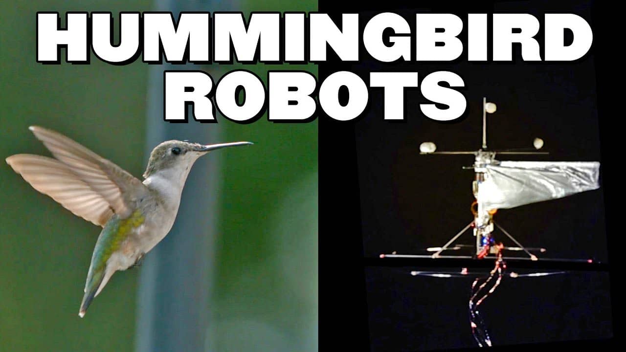 蜂鸟机器人可以像实际的蜂鸟一样悬停并飞行