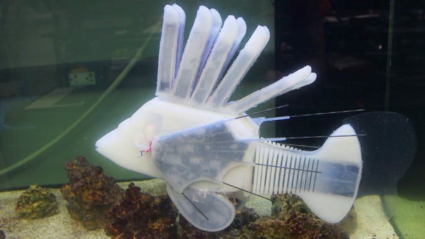 这款机器人鱼长40厘米，使用机器人血液供电