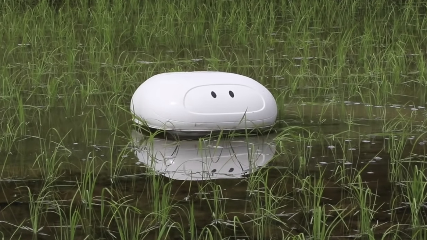 Aigamo机器人是机器人鸭，将在日本节省稻米种植