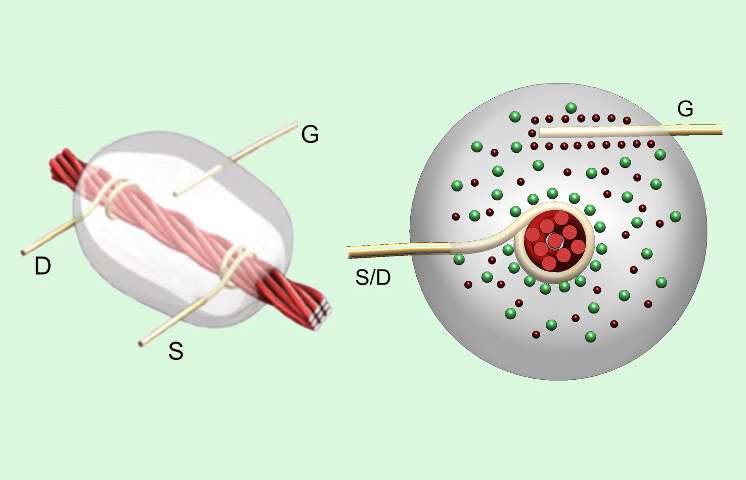 的工程师团队使线程使用亚麻线晶体管