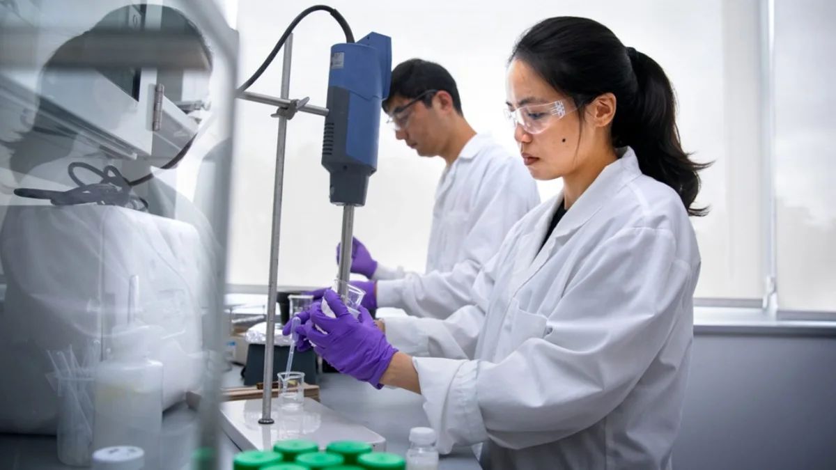 HIPE替代黄油是水基的，来自康奈尔大学