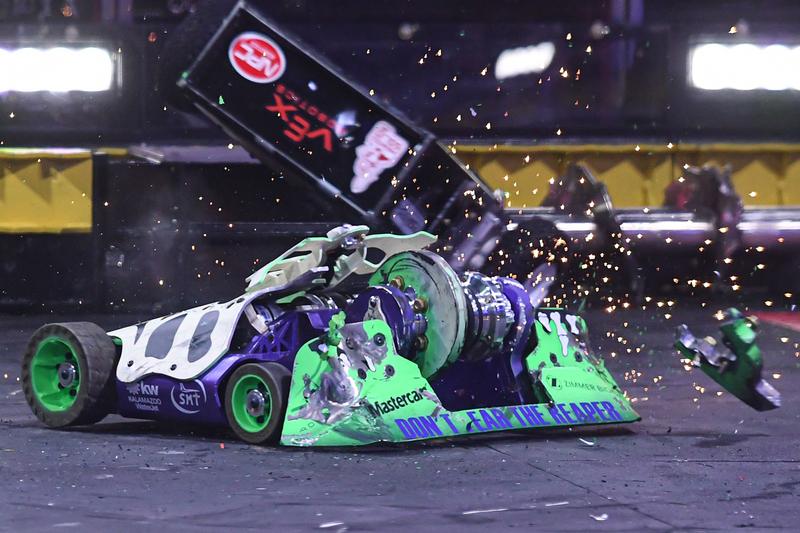 YouTube删除机器人打击虐待动物的视频