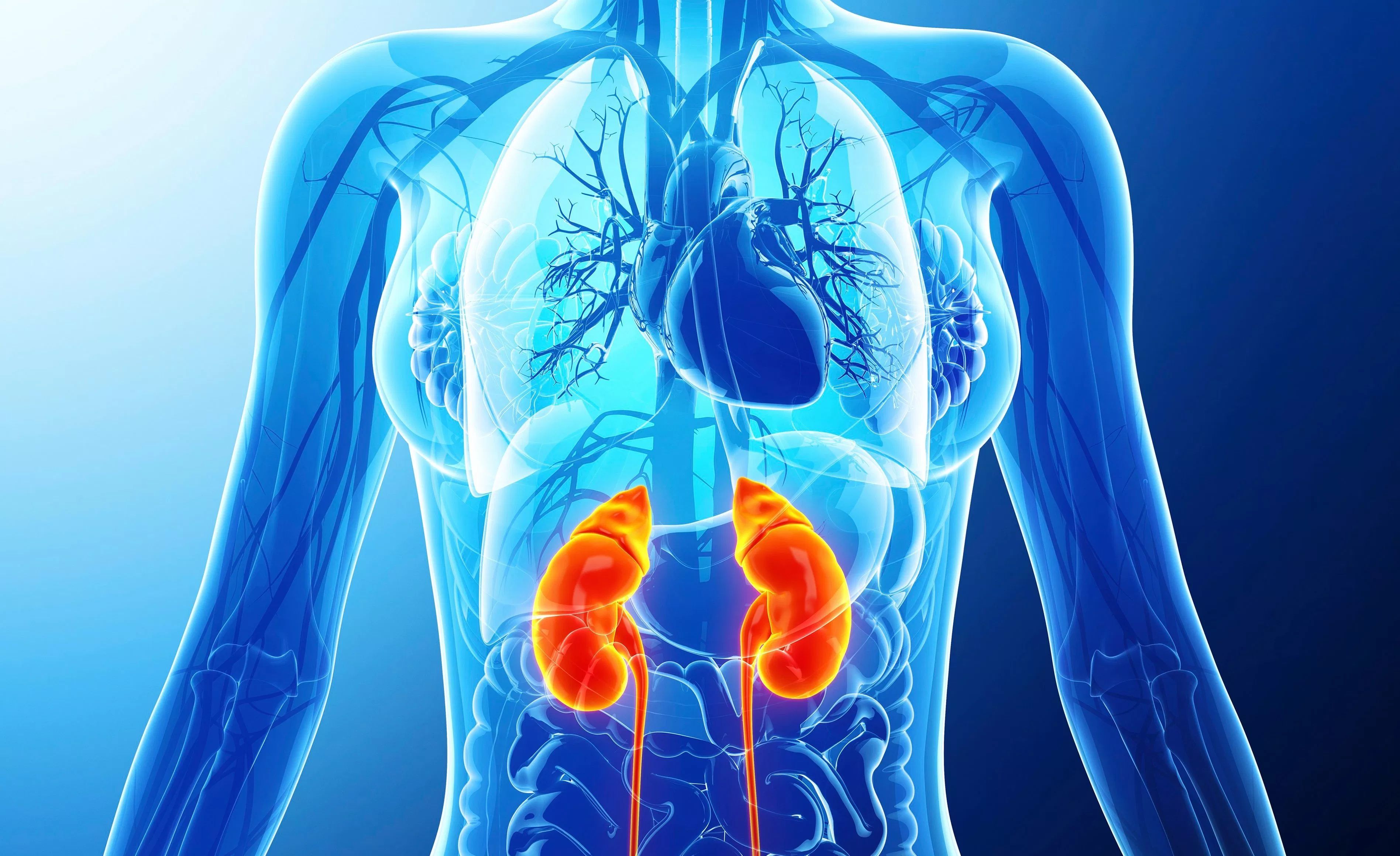 DeepMind AI用于2天前预测急性肾脏损伤