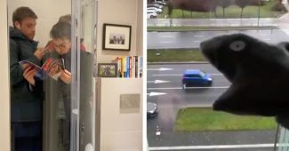 人们在隔离期间的20种创新方式!