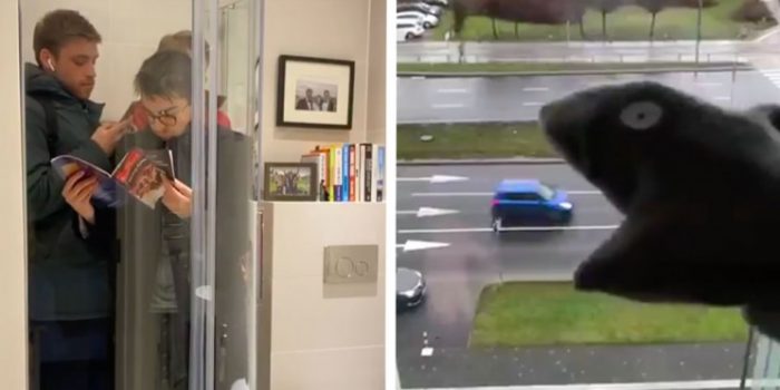 人们在隔离期间的20种创新方式!