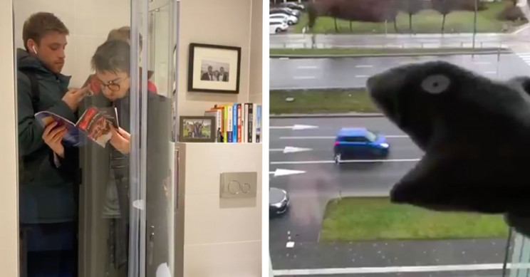 人们在隔离期间的20种创新方式!