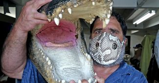 所有美国鳄鱼都在卖用爬行动物皮制作的口罩