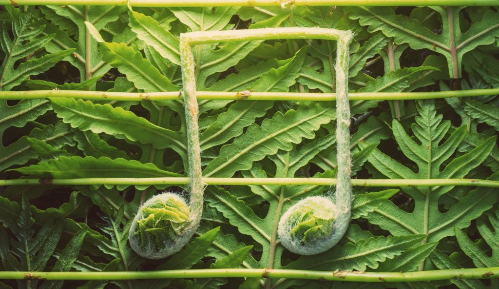 多亏了planwave，用植物制作音乐成为可能