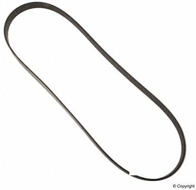 Toyota Corolla的10个最佳蛇形皮带