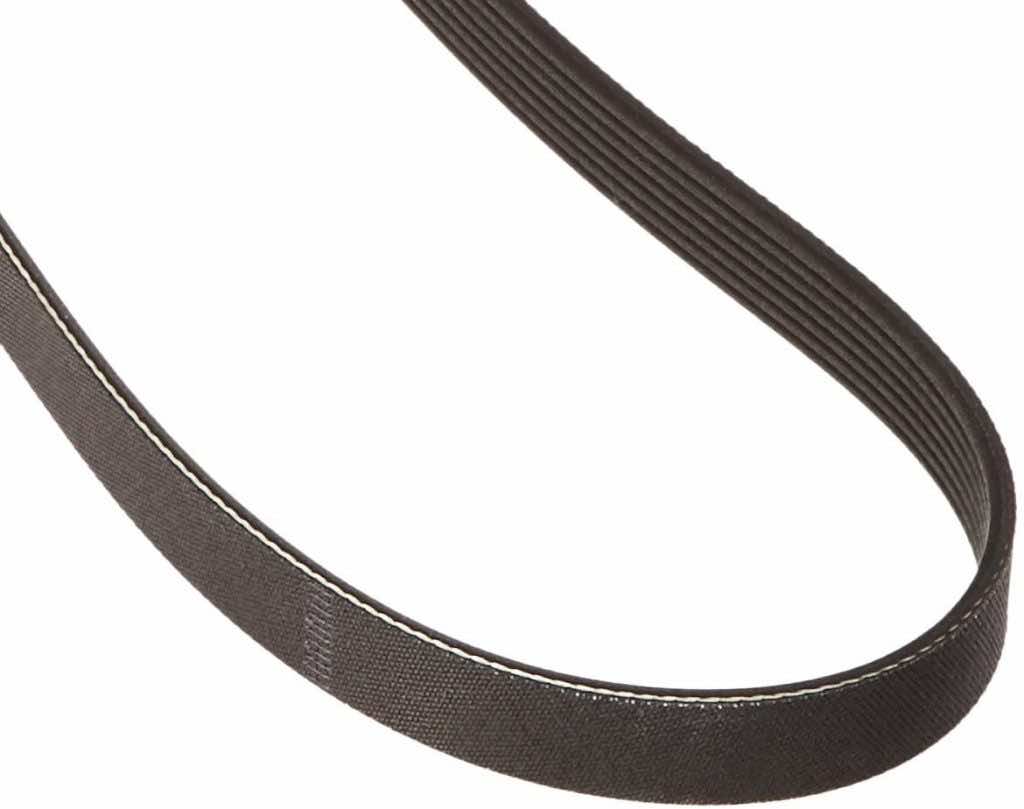 本田雅阁的10条最佳蛇形皮带