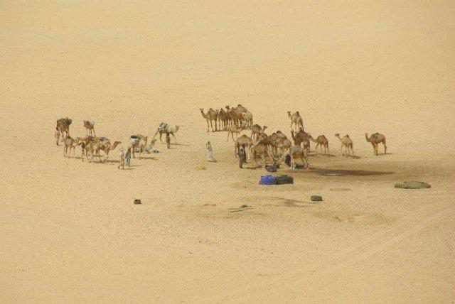 十八年后，受害者的家庭聚集在坠机现场建造纪念馆。