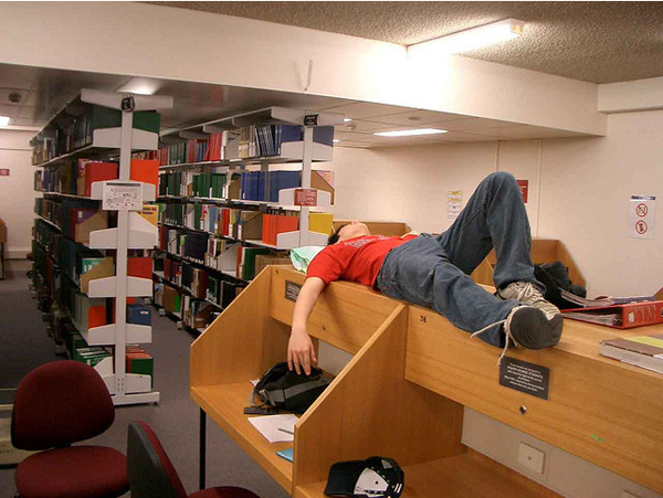 奇异地将图书馆或实验室称为“家”。